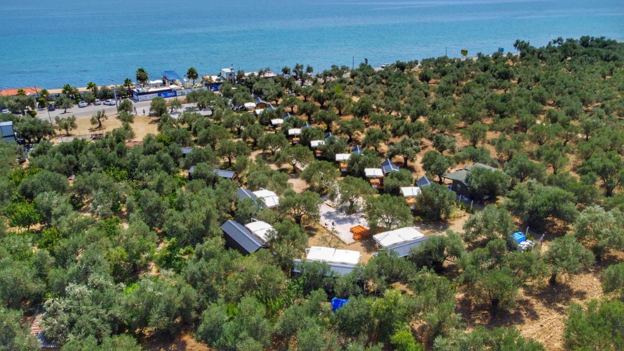 Gulet Tiny House Hotel Ayvacik Kültér fotó